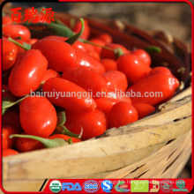 Approvisionnement d&#39;usine séché Ningxia origine goji berry